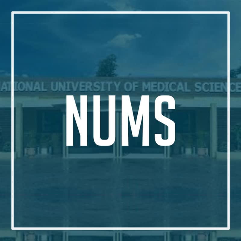 Everything You Need To Know About NUMS Entry Test nums entry test